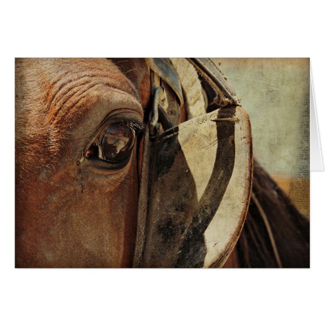 Amish Horse Eye (Anverso (Horizontal))