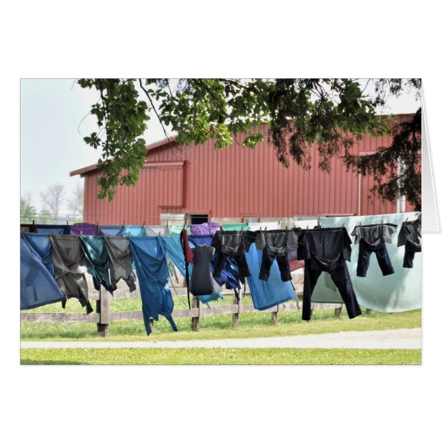Amish Laundry (Anverso (Horizontal))