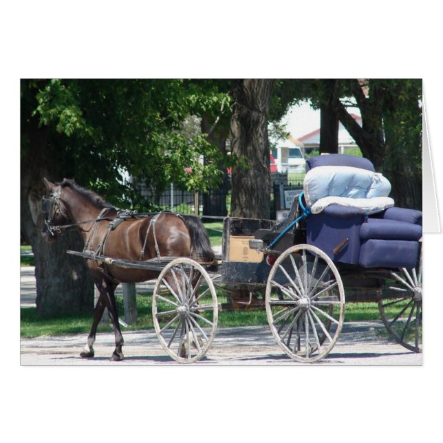 Amish Recliner tarjeta de saludo de todas las ocas (Anverso (Horizontal))