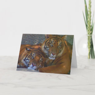 Amistad/Cualquier Ocasión_ Tarjeta