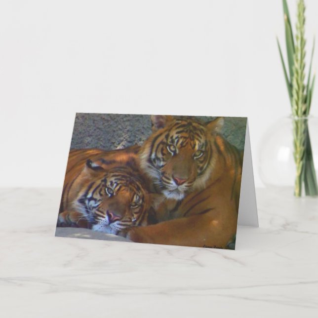 Amistad/Cualquier Ocasión_ Tarjeta (Anverso)