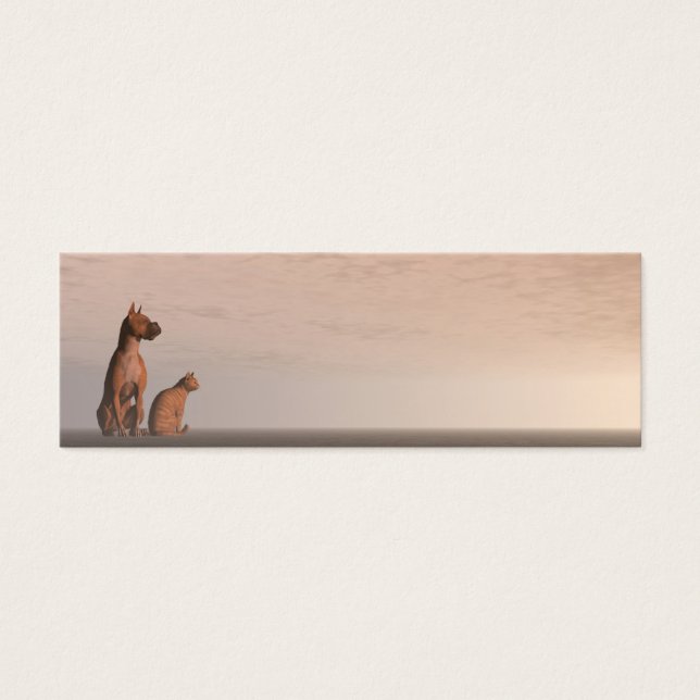 Amistad de perros y gatos (Frente)
