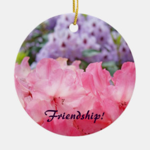 ¡Amistad! ornamento rosado del día de fiesta de