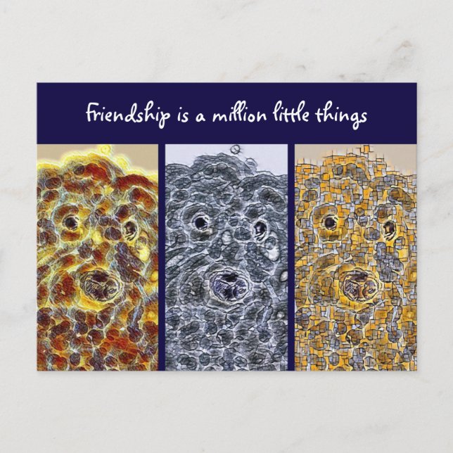 Amistad: Perros de postales arte abstracto moderno (Anverso)