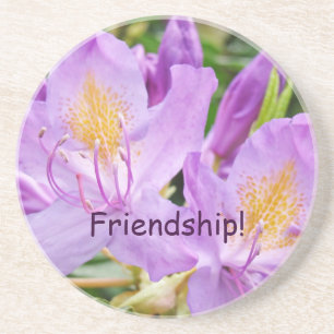 ¡Amistad! Posavasos de arenisca Rhodies púrpura