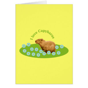 Amo a Capybaras