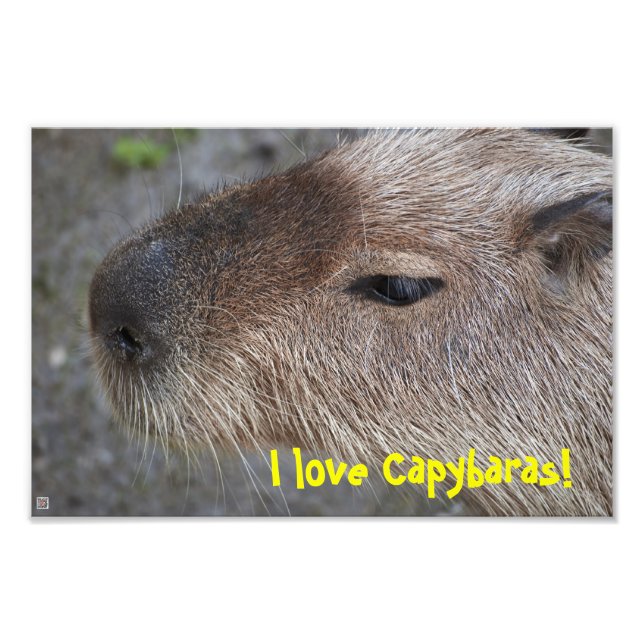 ¡Amo a Capybaras! Ampliación de fotos (Frente)