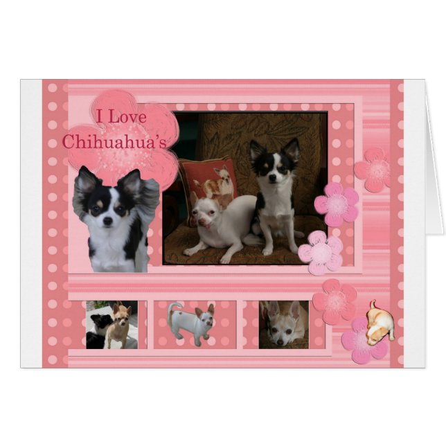 Amo a Chihuahuas (Anverso (Horizontal))