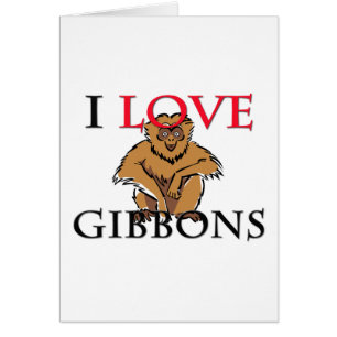 Amo a Gibbons