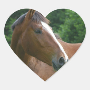 Amo a los Pegatinas de caballos Cara de caballo en