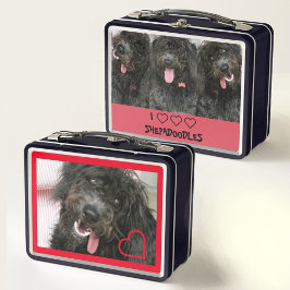 Amo a los Shepadoodles