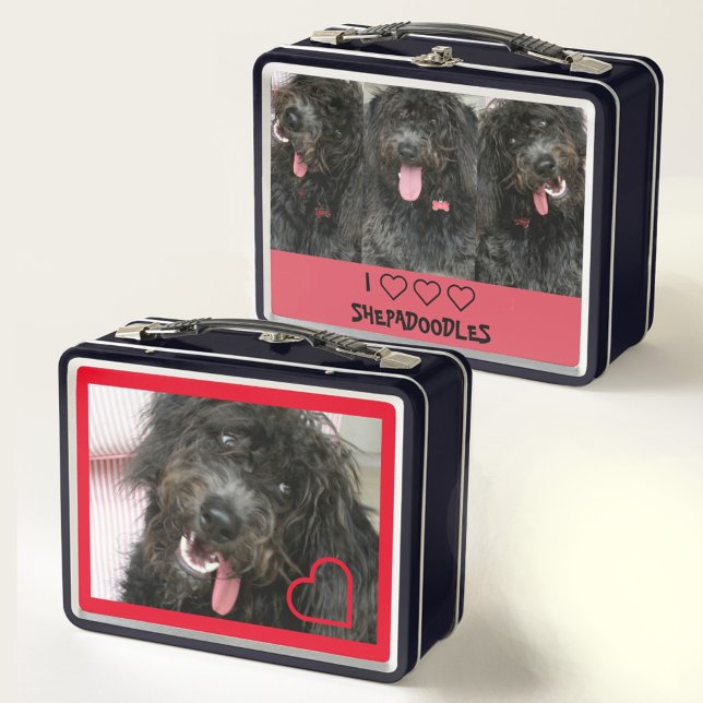 Amo a los Shepadoodles (Subido por el creador)