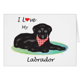 Amo a mi Labrador