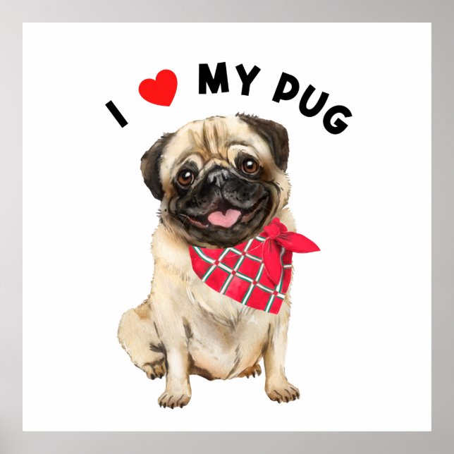 Amo a mi perro picante de pug cuteado con arte de  (Frente)
