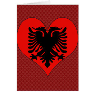 Amo Albania