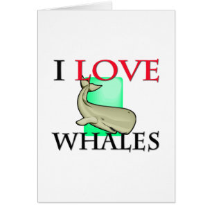 Amo ballenas