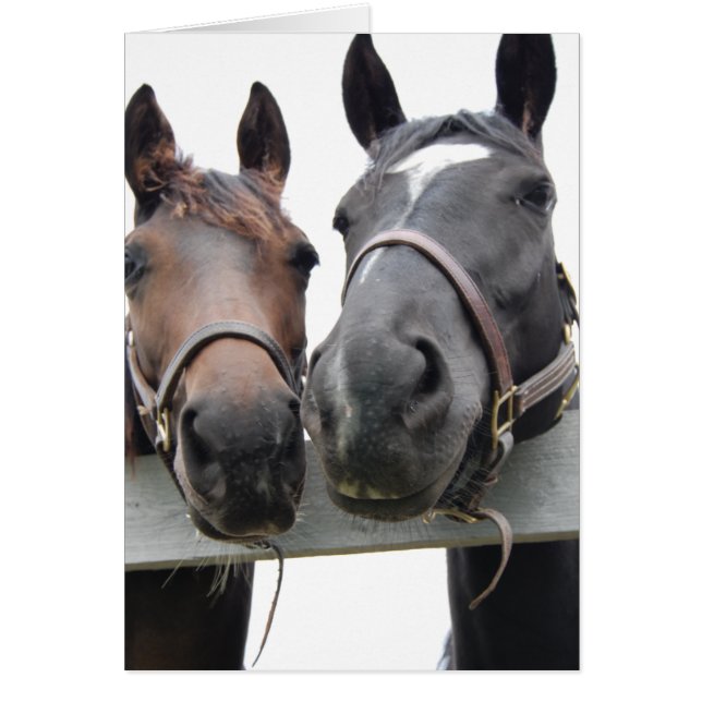 Amo-Caballo (Frente)