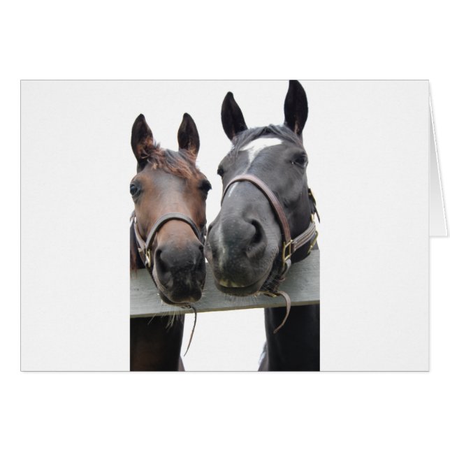 Amo-Caballo (Anverso (Horizontal))