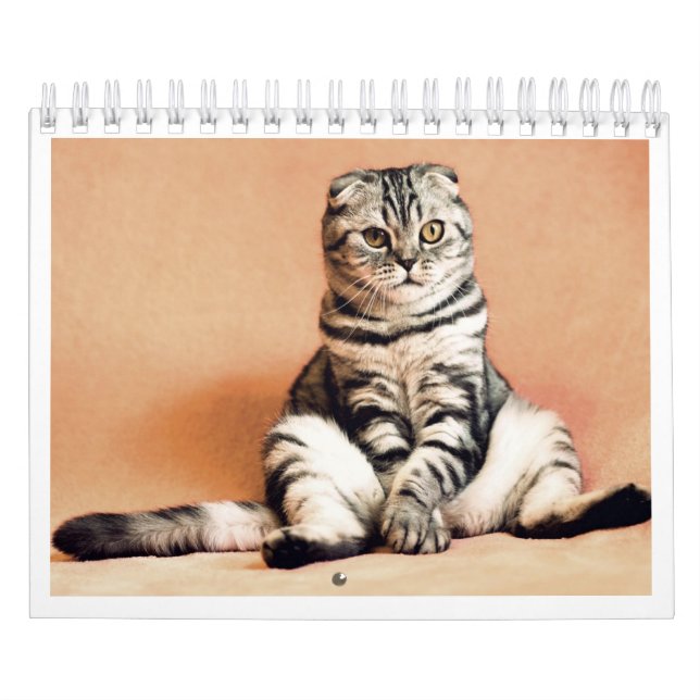 Amo calendario de gatos 2026 (Tapa)