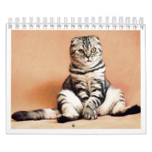 Amo calendario de gatos 2026