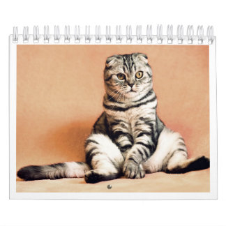 Amo calendario de gatos 2026