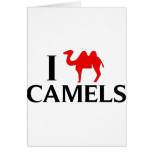 Amo camellos