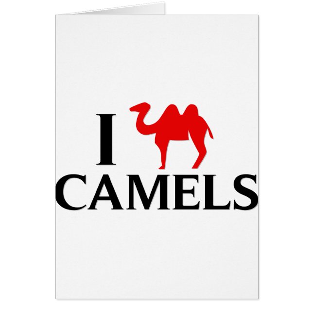 Amo camellos (Frente)