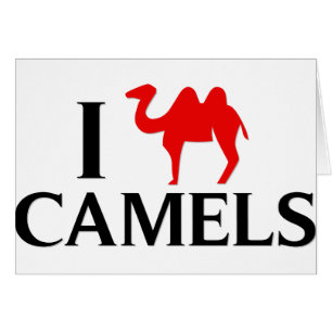 Amo camellos