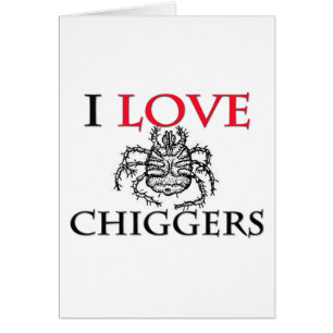Amo Chiggers