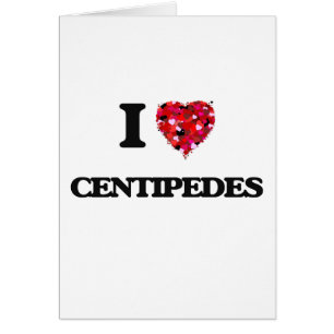 Amo ciempiés