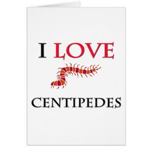 Amo ciempiés