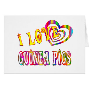 AMO CONEJILLOS DE INDIAS