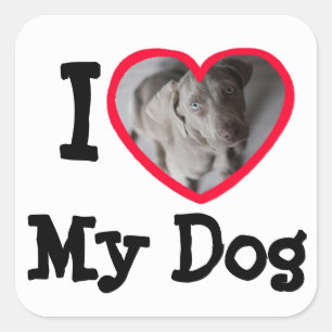 Amo (corazón) a mis pegatinas personalizados perr