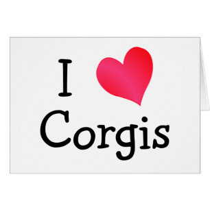 Amo Corgis