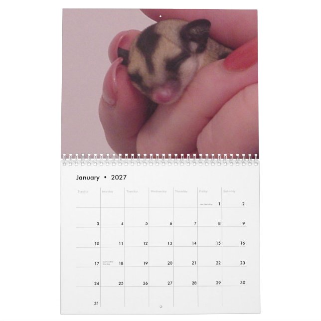 Amo el calendario de los planeadores del azúcar (Jan 2027)