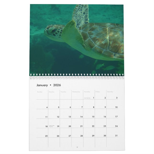 Amo el calendario del Caribe (Jan 2026)