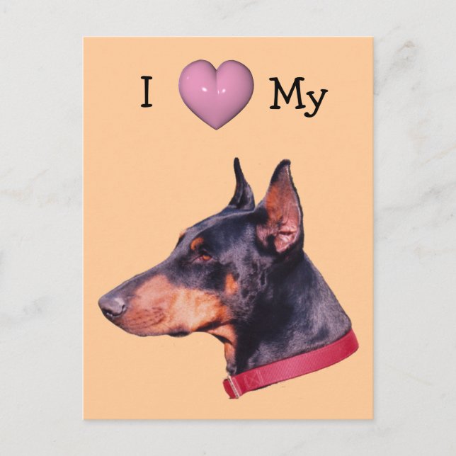 Amo el corazón mi postal de perro doberman (Anverso)