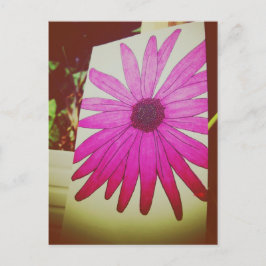 Amo el correo postal - Girasol