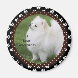 Amo el imán 2 del perro de Pomeranian