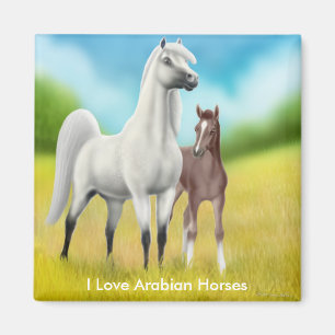 Amo el imán árabe de los caballos