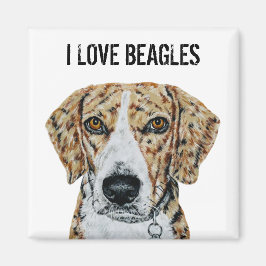 Amo el imán Beagles