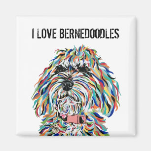 Amo el imán Bernedoodles
