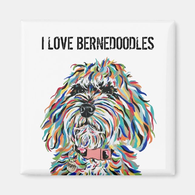 Amo el imán Bernedoodles (Frente)
