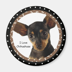 Amo el imán de las chihuahuas