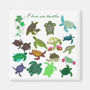 Amo el imán de las tortugas de mar - modificado