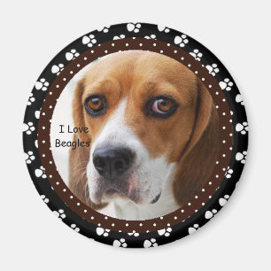 Amo el imán de los beagles