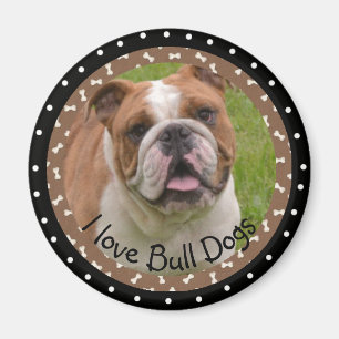 Amo el imán de los bulldoges