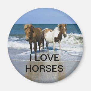 AMO EL IMÁN DE LOS CABALLOS