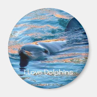 Amo el imán de los delfines