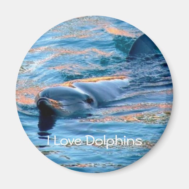 Amo el imán de los delfines (Frente)